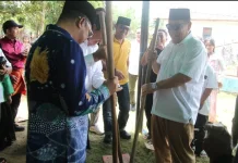 Maras Taun, Warisan Budaya Tak Benda di Desa Lassar Belitung