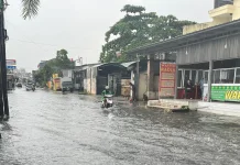 BPBD Pangkalpinang Siagakan Personel TRC 24 Jam Antisipasi Dampak El Nino