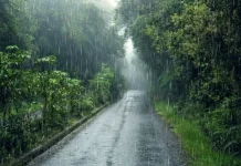 Hari Kesehatan Sedunia: Warga Soroti Cuaca Pancaroba Ekstrem