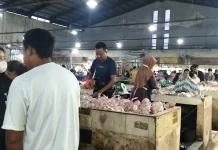 Harga Ayam di Pasar Sungailiat Berangsur Stabil