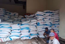 Bangka Terima Ribuan Ton Pupuk Subsidi Dukung Ketahanan Pangan