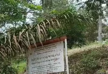 Peringatan Hari Kebudayaan Sedunia: Urgensi Melindungi Aset Sejarah