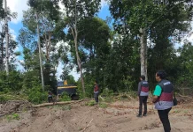 Polda Babel Temukan Aktivitas Tambang Ilegal di Kawasan Hutan Produksi