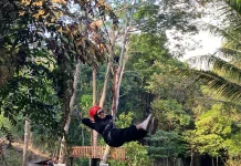 Keseruan Menantang Adrenalin lewat Flying Fox dan tarzan rope