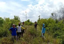Dari Hutan untuk Rakyat, Babel menuju Berdaya