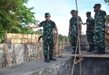 Pangdam II/Sriwijaya Pantau Pembangunan Jembatan Kampung Dul