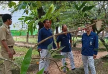 Hari Bumi: RRI Outdoor "Sekolah Hijau, Jaga Bumi dan Konservasi Alam" di SMAN 1 Merawang