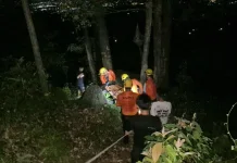 Tim SAR Gabungan Evakuasi Pendaki di Bukit Pau, Bateng