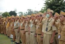 Otonomi Daerah, Instrumen Strategis Percepat Pembangunan