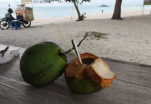 Manfaat Kelapa Pandan, Segar Sekaligus Menyehatkan
