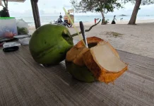 Kelapa Pandan Bernilai Ekonomis Tinggi bagi Pedagang