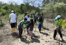 Peringati Hari Bumi, SDN 24 Sungailiat Tanam Mangrove