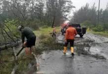 Cuaca Ekstrem, BPBD Pangkalpinang Ingatkan Masyarakat Tidak Berteduh di Pohon