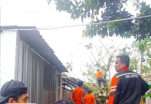 BPBD Pangkalpinang Imbau Warga Waspada Angin Kencang dan Puting Beliung