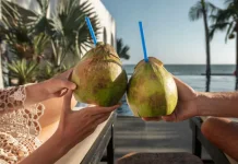 Aneka Campuran untuk Minum Air Kelapa Muda