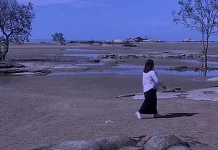 Pesona Alami Pantai Telapak Antu