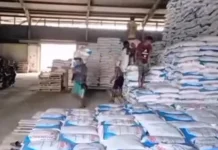 Petani Bangka Sambut Pemangkasan Harga Pupuk Subsidi