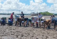 Restorasi Mangrove di Desa Juru Seberang, Yayasan TCI Siapkan 18.750 Bibit