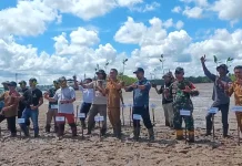 Tanam Mangrove di Desa Juru Seberang, Perkuat Benteng Alami Tanjungpandan