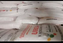 Harga Pupuk Nonsubsidi Kian Memberatkan Petani