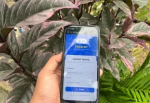 Pemkot Pangkalpinang Pastikan Presensi Digital ASN Berjalan Optimal