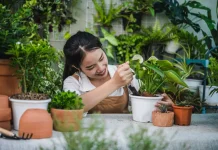 Tanaman Hias dan Buah Beri Kesejukan di Rumah