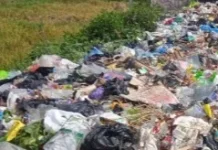 Pilah Sampah Organik dan Anorganik Mudahkan Pengolahan Sampah