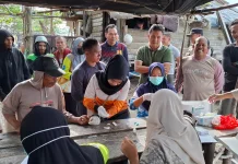 Bangka Segera Tetapkan KLB Malaria di Belinyu