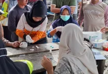 Dua Belas Tahun Eliminasi, Kasus Malaria Kembali Ditemukan di Bangka