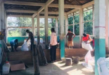 Pengembangan Bebek Petelur Bantu Penuhi Kebutuhan Masyarakat