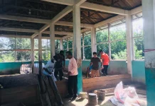 Koperasi Desa Merah Putih di Harapkan Bantu Pemasaran Hasil Bebek Petelur