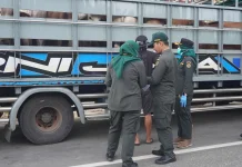 Pedagang Hewan Kurban Wajib Lengkapi Sertifikat Kesehatan