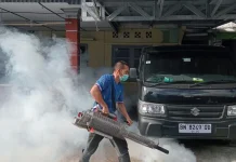 Warga Bangka Diimbau Aktif Cegah Penyebaran Nyamuk Malaria
