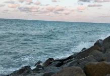Dari Garam Laut Jadi Produk Perawatan Kulit, Inovasi Ekonomi Sirkular di Bangka