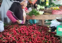 Harga Bahan Pokok di Takengon: Stabilitas Dominan, Beberapa Komoditi Fluktuatif