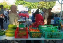 DKPP Belitung Rencanakan GPM jelang Hari Jadi Kota Tanjungpandan