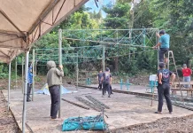 Panitia Kurban Masjid Agung Data 7 Ekor Sapi Kurban