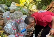 HAKLI Babel Sinergi dengan Berbagai Pihak Cegah Demam Berdarah