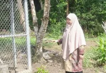 Bangka Tengah Kembangkan Pertanian Modern di Sungaiselan