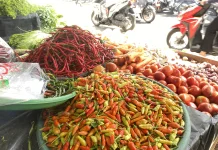 Fluktuasi Harga Bumbu Dapur jelang Iduladha 2026