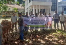 PT Timah Kembali Salurkan Sapi Kurban ke Pokja Wartawan