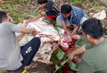 DLH Bangka Siap Angkut Sampah Kurban