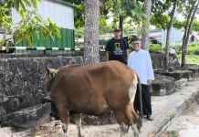 Panitia Kurban Masjid Agung Sungailiat Lakukan Berbagai Persiapan