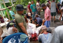 Surau At-Ta’awun Sri Menanti Sembelih Empat Sapi dan Tiga Kambing Kurban