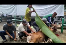 Solidaritas Kemanusiaan dalam Perayaan Iduladha