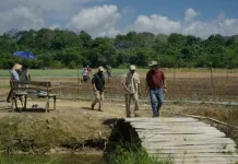 Desa Lubuk Pabrik Lokasi Pengembangan Cabai & Bawang Merah