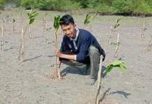 RPPEM Bangka Belitung Jadi Pedoman Pengelolaan Mangrove