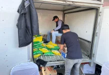 Bulog Bangka: Stok Beras Aman di Bangka Belitung