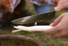 Masyarakat Bangka Lestarikan Kuliner Sambel Gegarang Nibung
