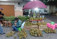 Musim Durian Tiba, Pedagang Musiman Mulai Penuhi Pasar Atas Sungailiat
